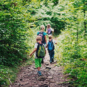 Bild von Kindern die auf einem Pfad durch den Wald wandern.